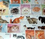 Motive 150 verschiedene Katzen Marken